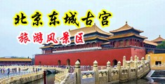 男人操女人视频网站中国北京-东城古宫旅游风景区
